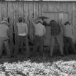 "Out Behind the Barn" - Spreadin' the Tradition Album Photo Shoot