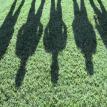 Czechaholics Beyond the Shadows